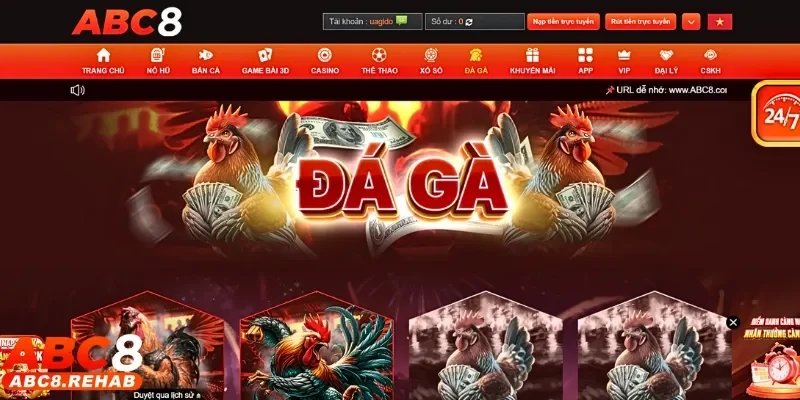 Đá Gà abc8 1 Giới thiệu sản phẩm cược đá gà ABC8