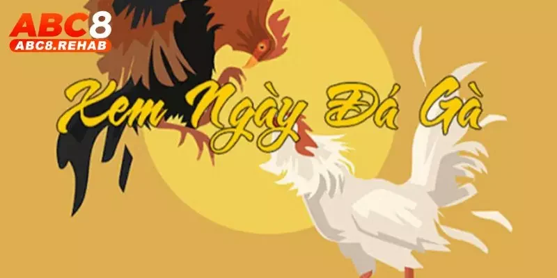 Coi Ngày Đá Gà - Hướng Dẫn Cách Xem Chuẩn Xác Tại ABC8 8 coi ngay da ga
