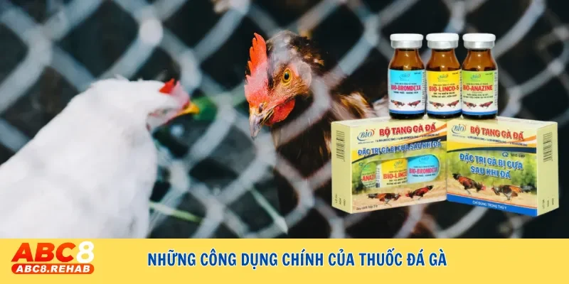 Thuốc đá gà - Bí quyết tăng cường sức mạnh chiến kê đỉnh cao 3 Những công dụng chính của thuốc đá gà