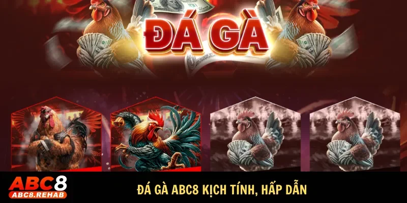 TRANG CHỦ 38 Đá gà ABC8 kịch tính, hấp dẫn