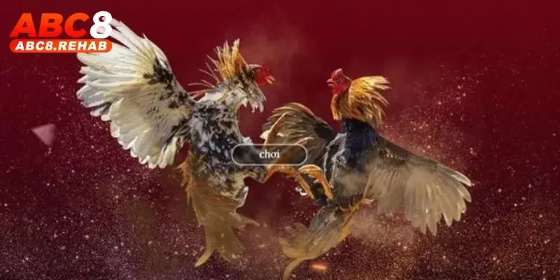 Trang Đá Gà Mạng Uy Tín ABC8 – Trải Nghiệm Hàng Đầu 2 Giới thiệu vài nét về trang đá gà mạng uy tín