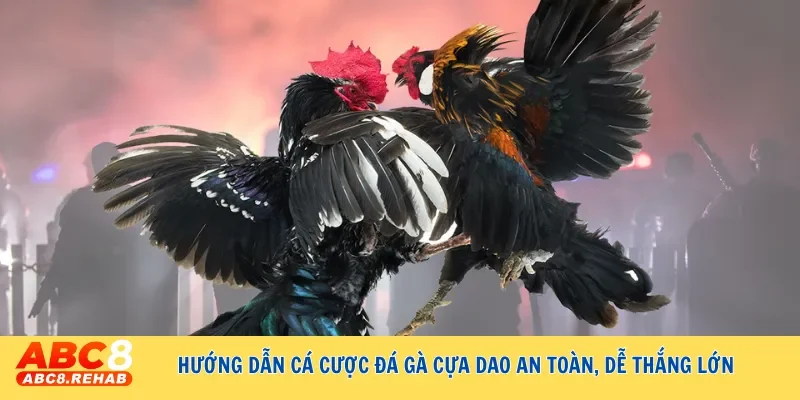 Hướng dẫn cá cược đá gà cựa dao an toàn, dễ thắng lớn 10 huong dan ca cuoc da ga cua dao an toan de thang