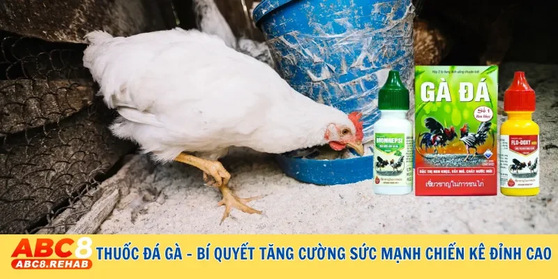 Thuốc đá gà - Bí quyết tăng cường sức mạnh chiến kê đỉnh cao 3 thuoc da ga bi quyet tang cuong suc manh chien ke