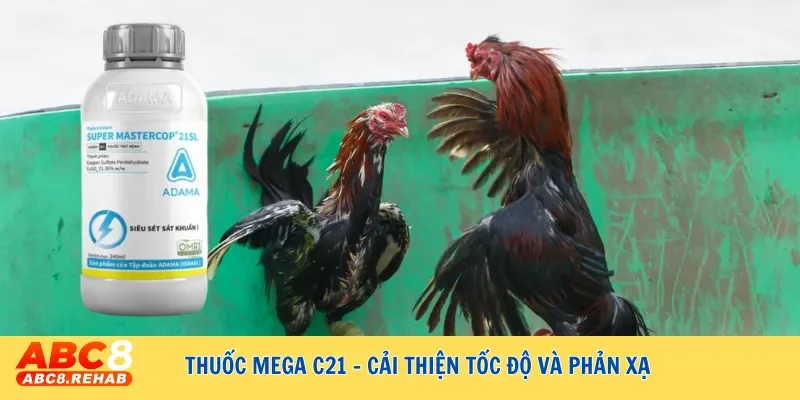 Thuốc đá gà - Bí quyết tăng cường sức mạnh chiến kê đỉnh cao 4 Thuốc Mega C21 giúp cải thiện tốc độ và phản xạ